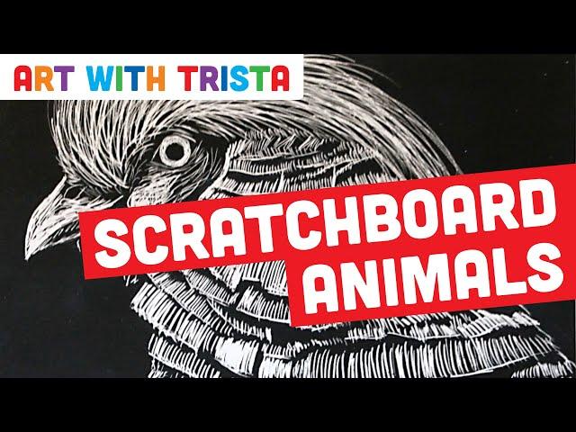 Scratchboard Animal Art Tutorial - Art With Trista