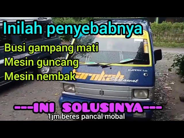 BUSI GAMPANG MATI  inilah penyebab dan solusinya..