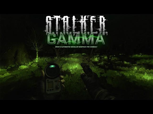 An ADHD Guide to S.T.A.L.K.E.R GAMMA (2)