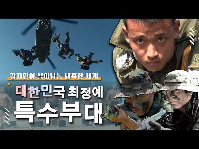 해병대 수색대│육군 특전사│공군 CCT │해군 UDT/SEAL 《대한민국 최정예 특수부대》│#골라듄다큐