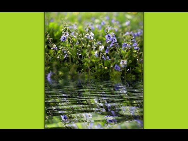 Add a water reflection to a photo in GIMP 2.8