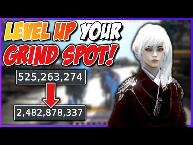 Level Up Your Grinding: From 400mil to 2bil an Hour in BDO!