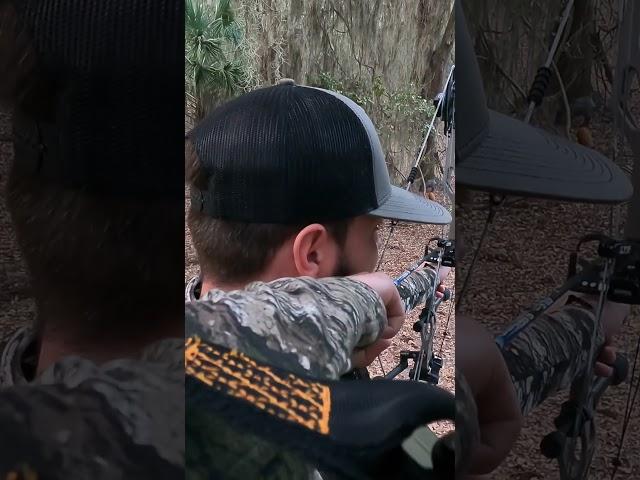 Bowhunting for wild pigs! #hunting #archery #bowhunting #bowhunt #bowhunter #sirius #boarhunting
