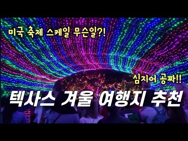 텍사스 어스틴 겨울 필수 여행지️ 스케일이 다른 미국의 축제란 이런것?! 질커 파크 트레일 오브 라이트 (Trail of Lights)