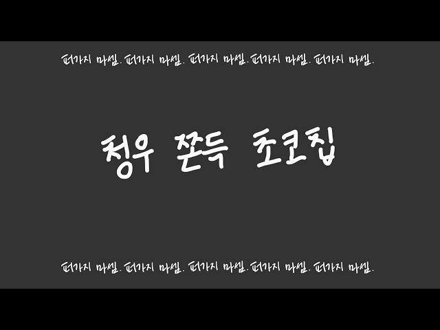 청우쫀득초코칩