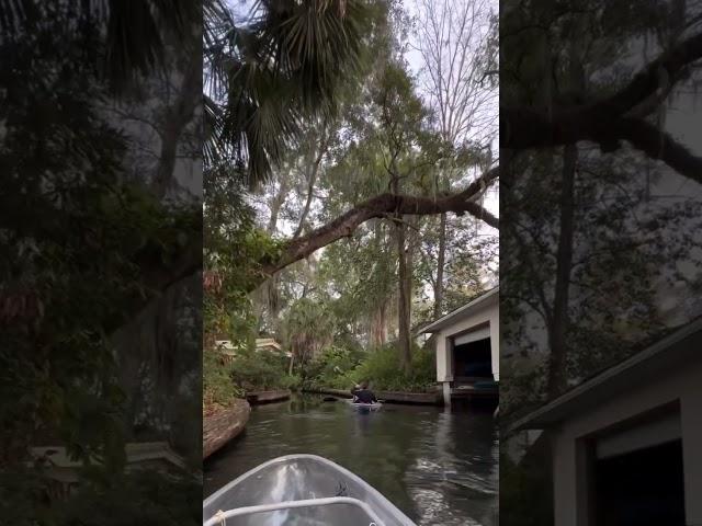 Spending our weekends like this Clear kayaking near Orlando in Winter Park, FL