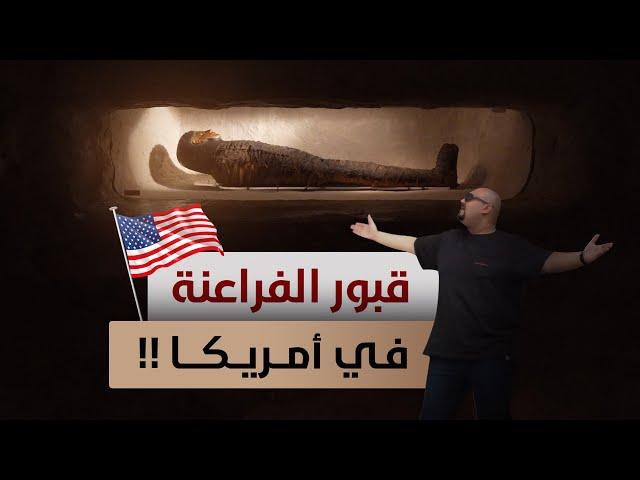 Field Museum -  تفاصيل حياتهم اشي مرعب