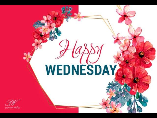 Happy Wednesday Morning Greetings - Happy Wednesday Video