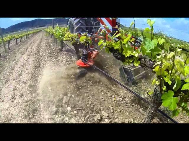 under vine weeder with Rotary hoe & blade for weed. Intercepas con rotor y cuchilla deshierba.