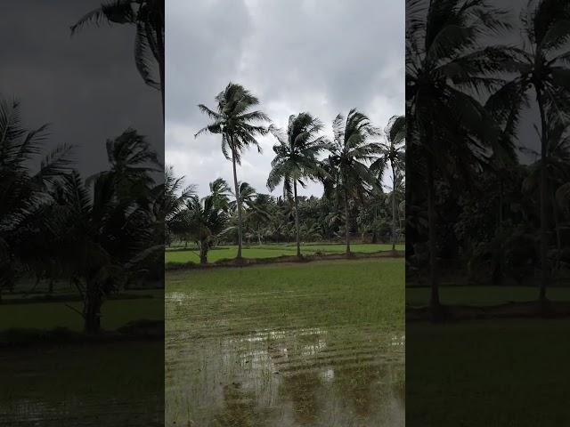 Palakkadangramam#youtube#shorts