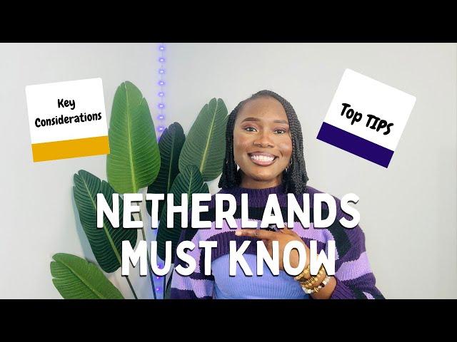 The Ultimate Guide to Studying in the Netherlands 