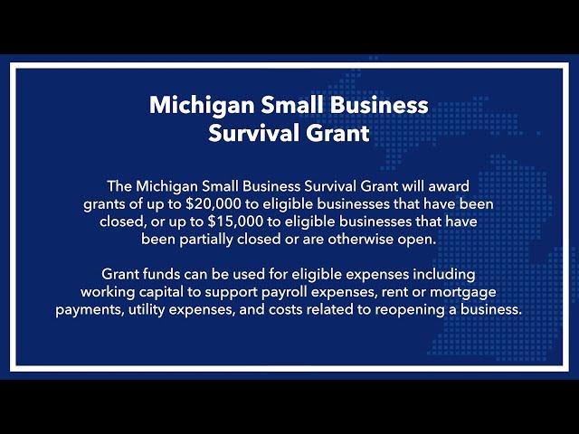 Michigan Small Business Survival Grant | Application Walkthrough