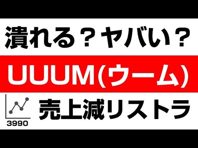 初心者でもわかる！UUUM（3990）の株式・企業分析