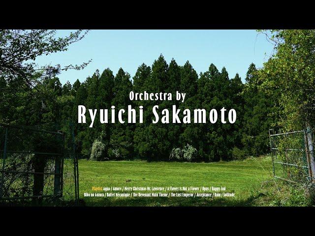  𝟰𝗸 𝐩𝐥𝐚𝐲𝐥𝐢𝐬𝐭ㅣOrchestra by Ryuichi SakamotoㅣAqua, Merry Christmas Mr. Lawrence, Bibo no Aozora