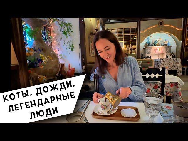 Культурная Прогулка по Ресторанам и Кафе Петербурга