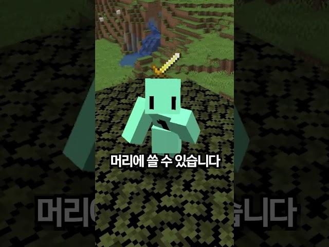 [마인크래프트] 머리 위에 신발