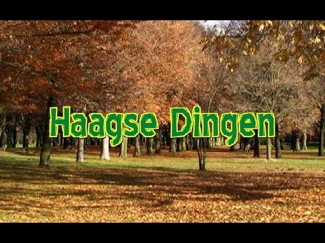 Haagse Dingen 26 januari 2013