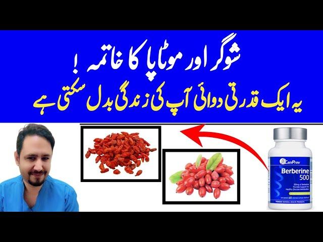 Berberine Benefits In Urdu Hindi - Berberine Kya Hota Hai - Dr Irfan Azeem