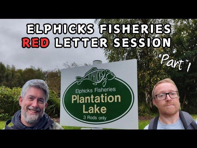 PART 1 - ELPHICKS PLANTATION LAKE - How many fish?! @sifishes