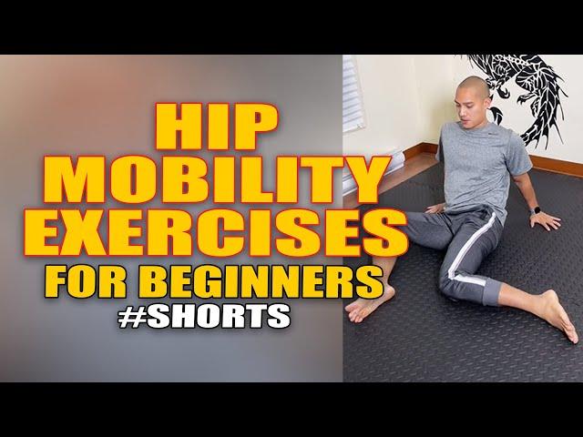 Beginner Hip Mobility Exercises