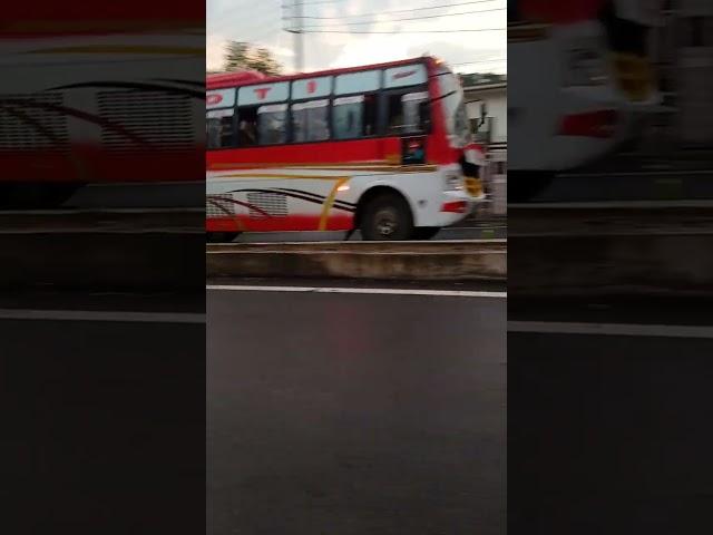 Jyoti Bus Service Billawar To Jammu #shorts #bus #jammu #billawar #superfast