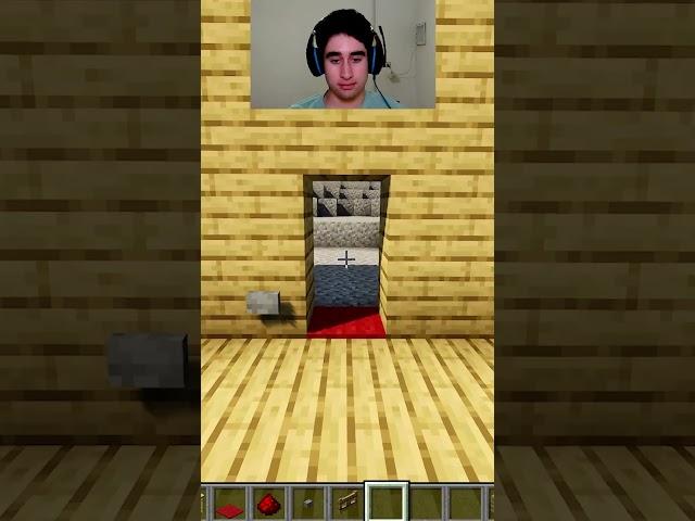 Minecraft Working invisible Door#shorts