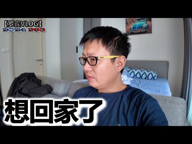 今天我活过来了，昨天还在看机票想回家了【罗宾VLOG】