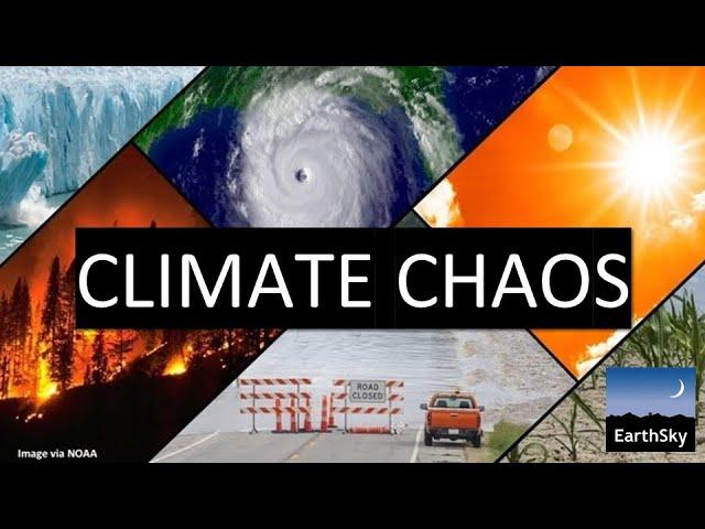 Climate Chaos with Climatologist Daniel Swain