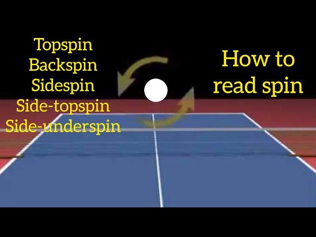 How to read spin/ the amount of spin (Including serves)| Table Tennis Analysis