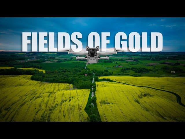 DJI MIni 3 Pro and Flywoo Explorer LR4 - FIELDS OF GOLD
