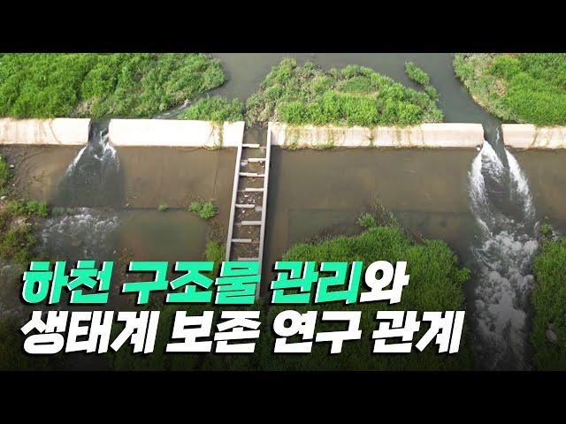 [핫클립] 하천 구조물 실측을 통한 관리·보존 연구 / YTN 사이언스