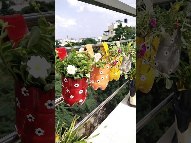 Hanging planter pot making idea using Sprite cool drink plastic waste bottles home gardening balcony