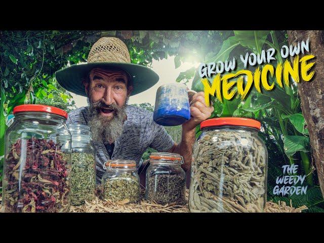 Essential Medicinal Herbs for Health | GROW YOUR OWN MEDICINE - 5 Medicinal Herbs you need to know