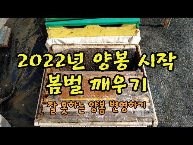 2022년 2월 8일 2022년 양봉 시작 봄벌 깨우기