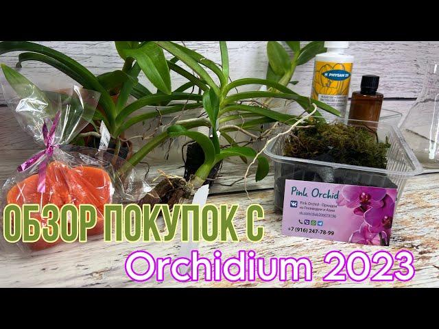 Обзор покупок на Осеннем Orchidium 2023 || Выставка орхидей в Москве || магазин Pink Orchid