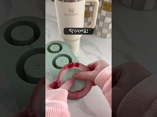 스탠리 쓴다면 얼음틀은 이거로 #스탠리 #얼음틀 #소품 #텀블러 #홈꾸