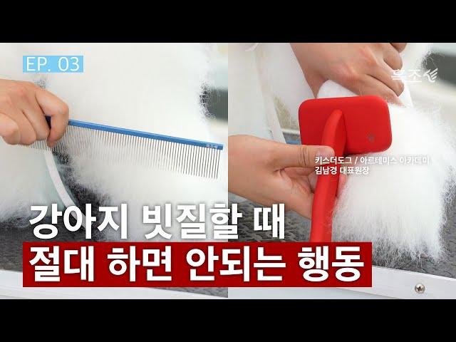 강아지 빗질 방법🪮 상처내지 않는 콤 슬리커 브러쉬 사용법 ⎜ 강아지 셀프 미용 방법 EP. 3