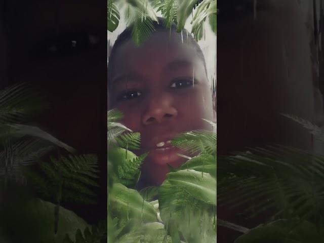 Joel is in the jungle