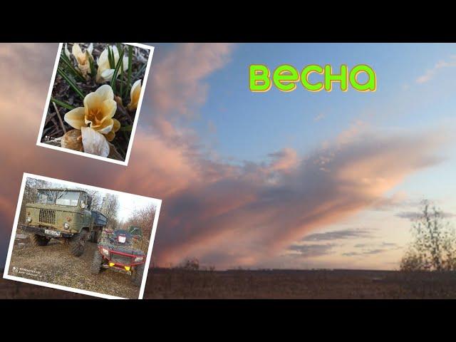 Новости с Ранчо у Санчо