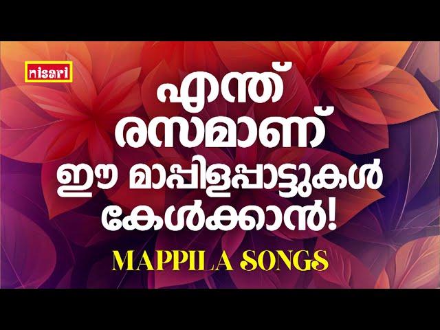 MAPPILA SONGS | Malayalam Mappila Songs | Nisari Mappila Pattukal | Pazhayamappila Songs