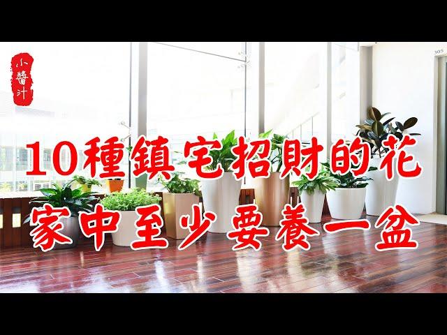 【植物風水】風水師提醒，這10種花能招財鎮宅，家中一定要養一盆