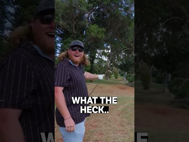 Massive Tree Branch Falls During Golf Shot 