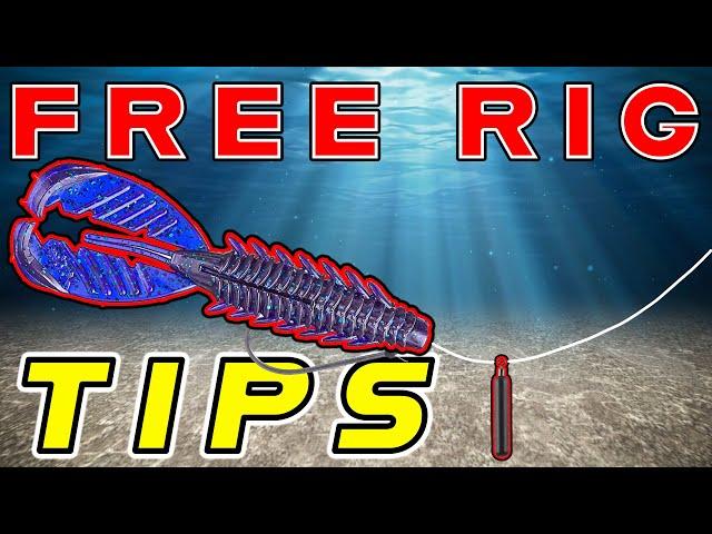 Free Rig Fishing For Bass! Tips And Tricks + Underwater Footage!!