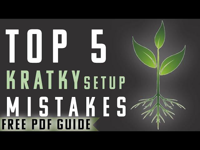 Top 5 Kratky Hydroponic Mistakes You Can Avoid