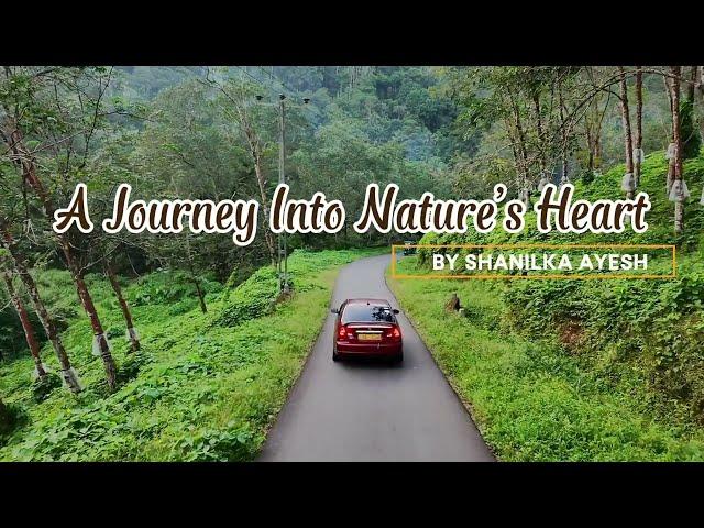 A Journry Into Nature's Heart Shot On DJI Neo Travel Vlog