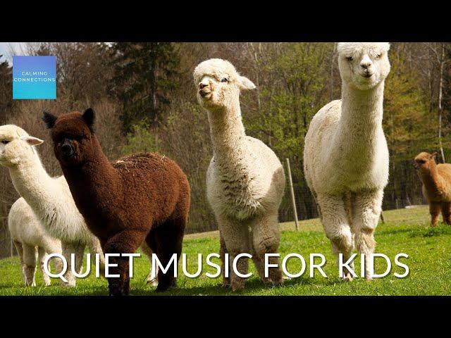 Quiet Music For Kids In The Classroom - Alpaca  - Relaxing music for classroom work, study music