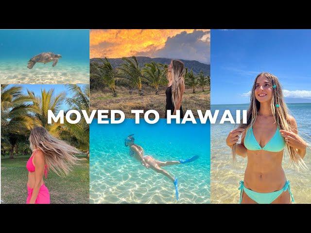 living in hawaii in my 20's (maui snorkeling & beach lifestyle)