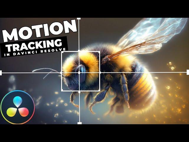 How To MOTION TRACK Objects In Davinci Resolve