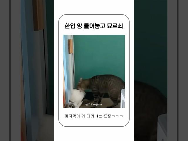 물어놓고 모르는 척 지나가기 ㅋㅋㅋ #shorts