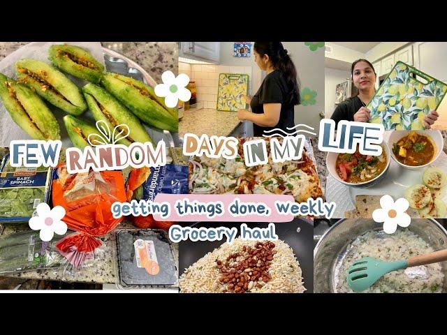 *NEW*FEW random Days in My Life/INDIAN Weekly Grocery Haul/Get Things Done with me,Indian MomUSAVLOG